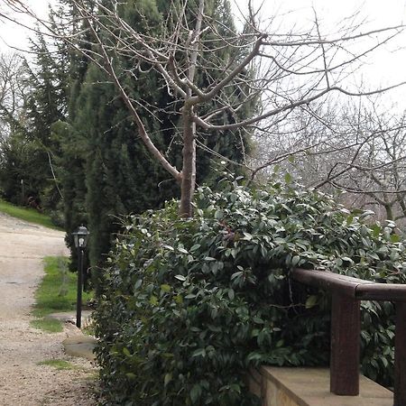 Agriturismo Le Valli Hotel Acuto Eksteriør billede
