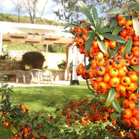 Agriturismo Le Valli Hotel Acuto Eksteriør billede