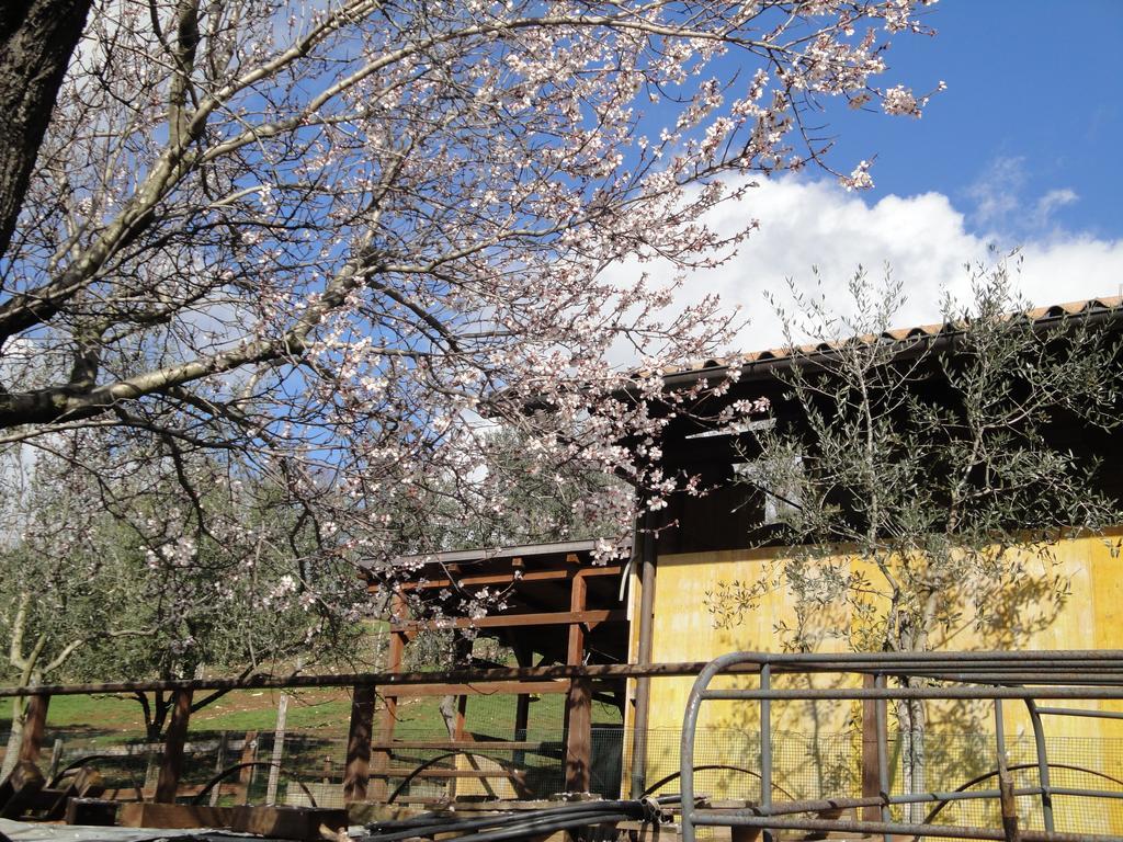 Agriturismo Le Valli Hotel Acuto Eksteriør billede